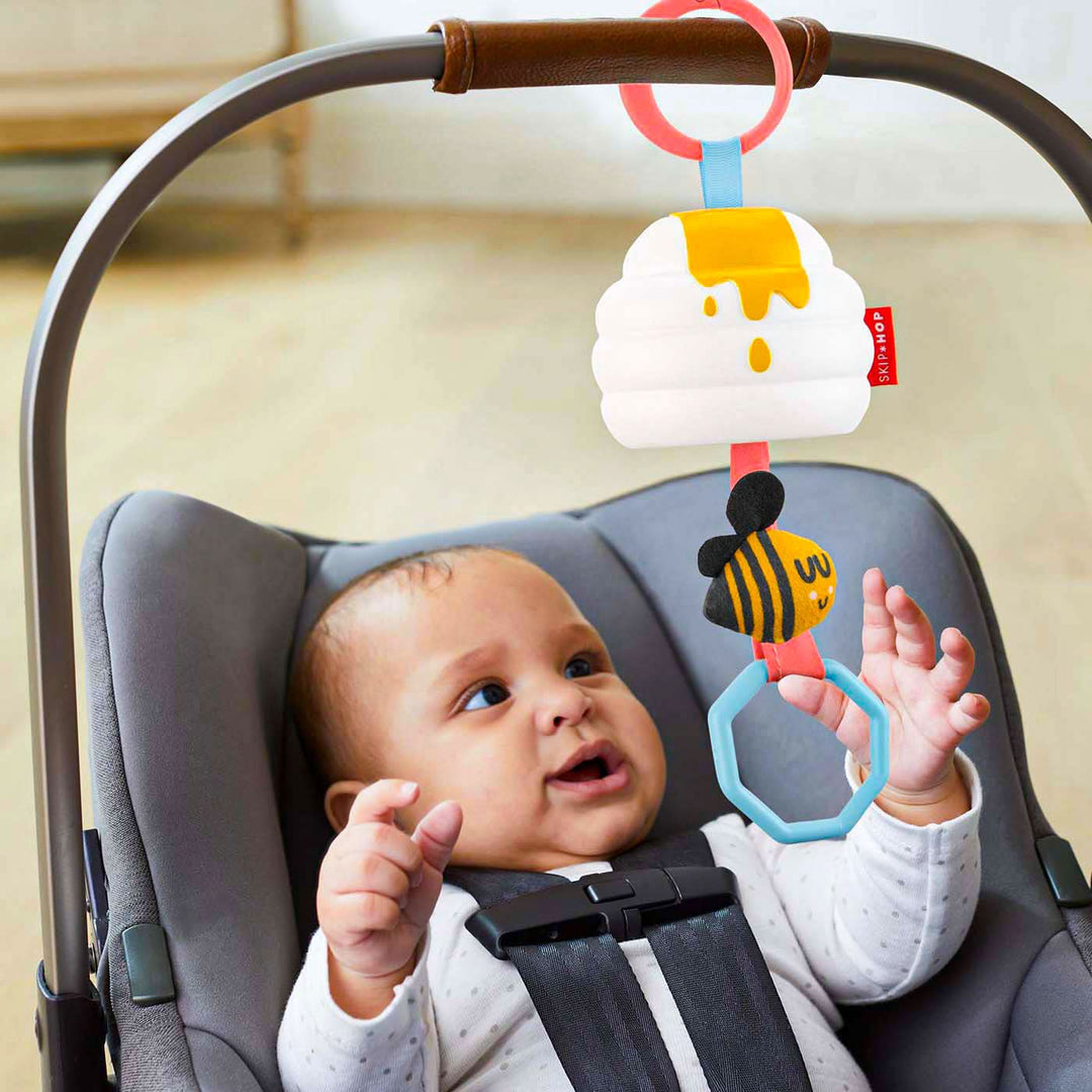 Skip Hop Jitter Toy