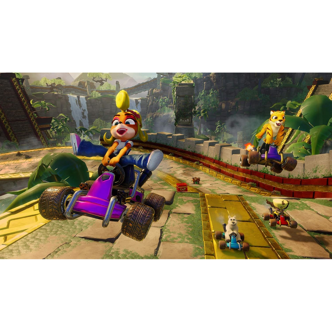 Activision Crash Team Racing Nitro-Fueled (PS4)