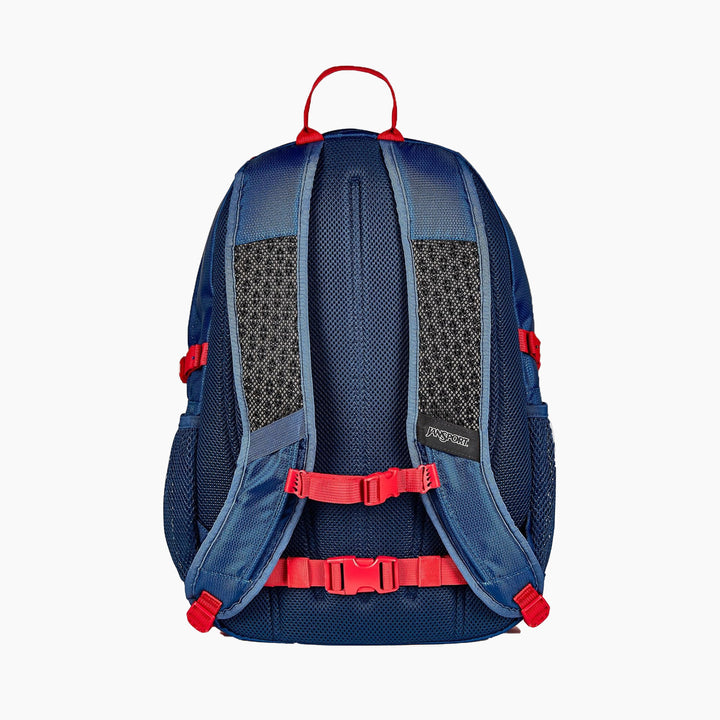 JanSport Agave Backpack