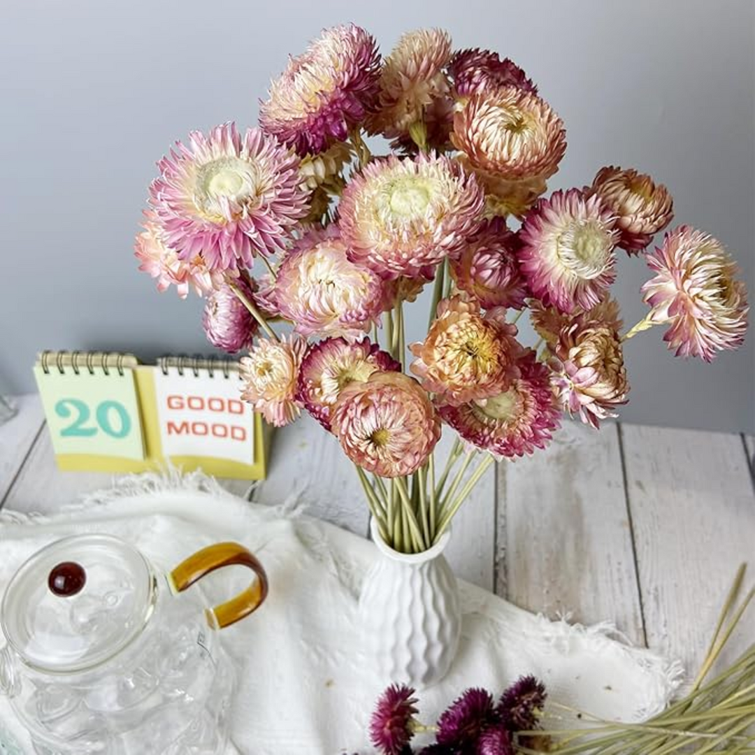 ARMN Dried Chrysanthemum Flowers
