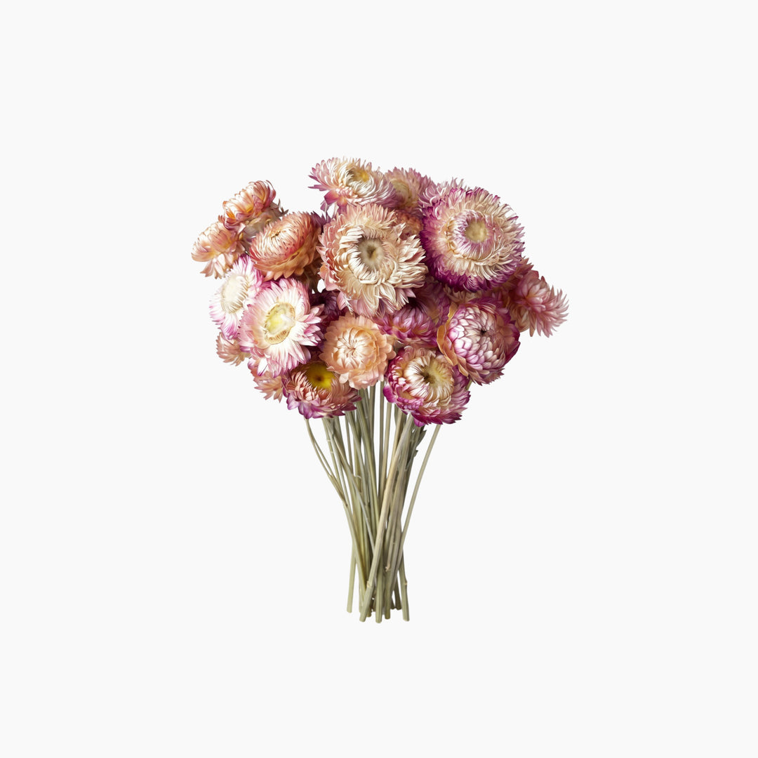ARMN Dried Chrysanthemum Flowers