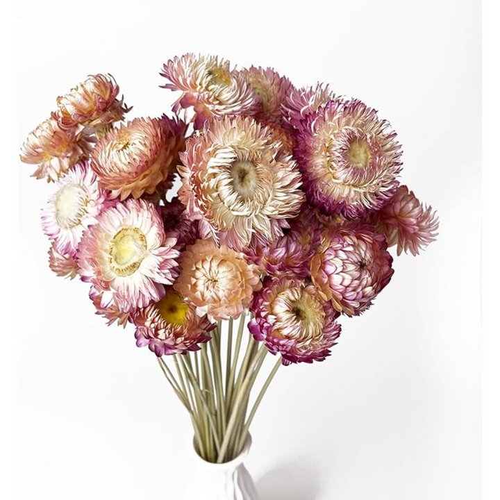 ARMN Dried Chrysanthemum Flowers