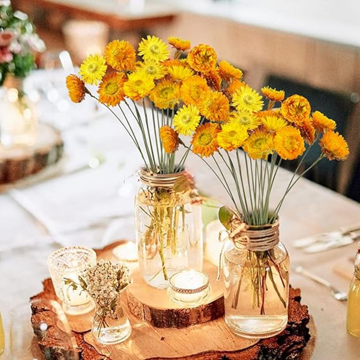 ARMN Dried Chrysanthemum Flowers