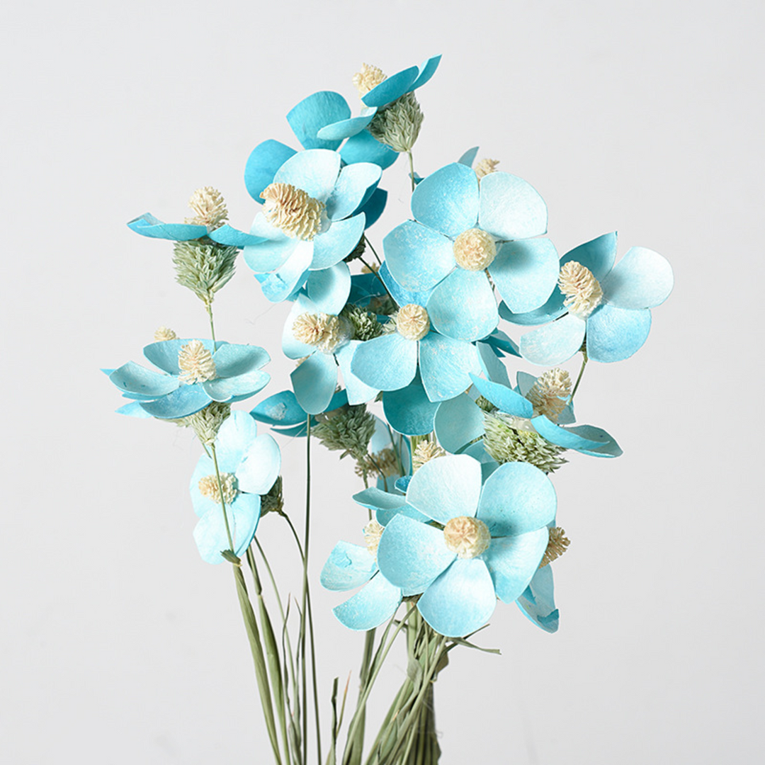 ARMN Dried Phalaenopsis Orchid Flowers