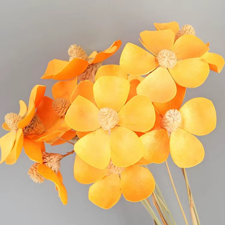 ARMN Dried Phalaenopsis Orchid Flowers