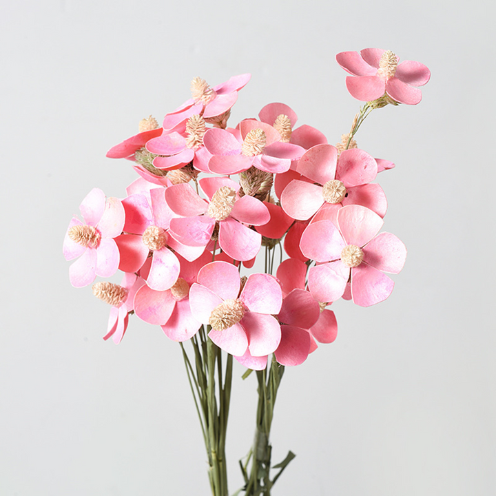 ARMN Dried Phalaenopsis Orchid Flowers