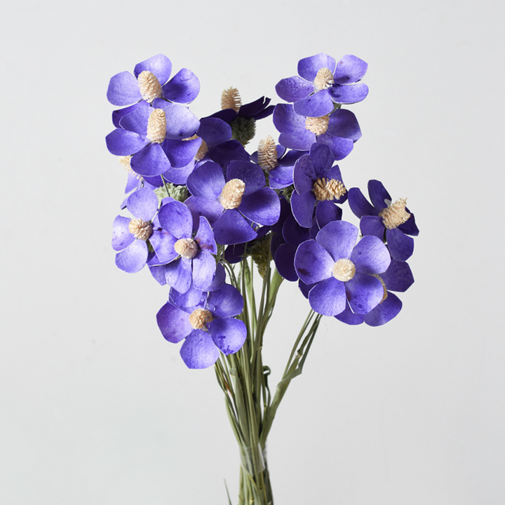 ARMN Dried Phalaenopsis Orchid Flowers