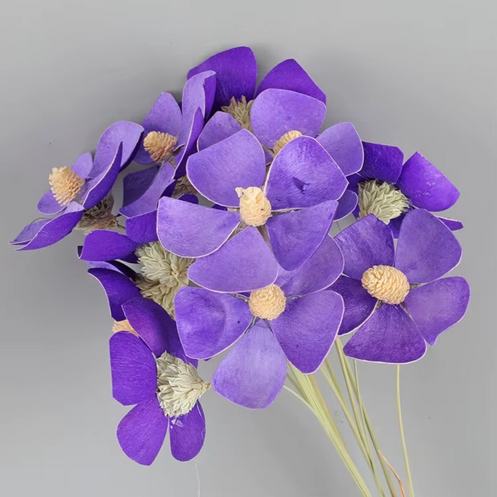 ARMN Dried Phalaenopsis Orchid Flowers