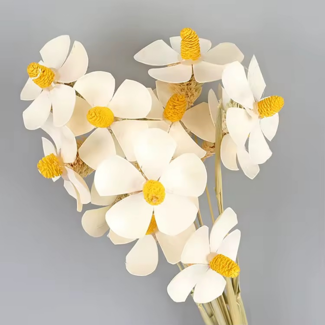 ARMN Dried Phalaenopsis Orchid Flowers