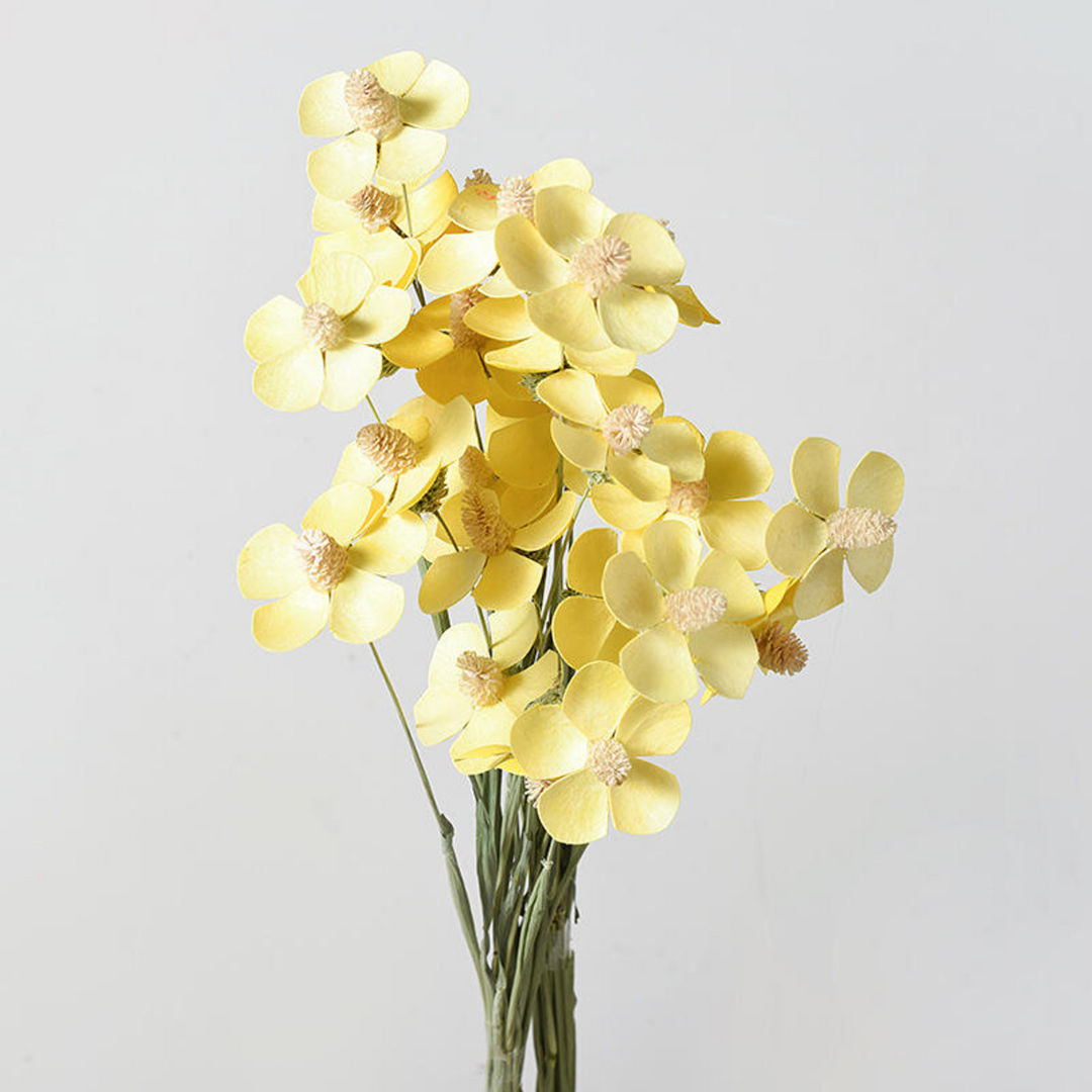 ARMN Dried Phalaenopsis Orchid Flowers