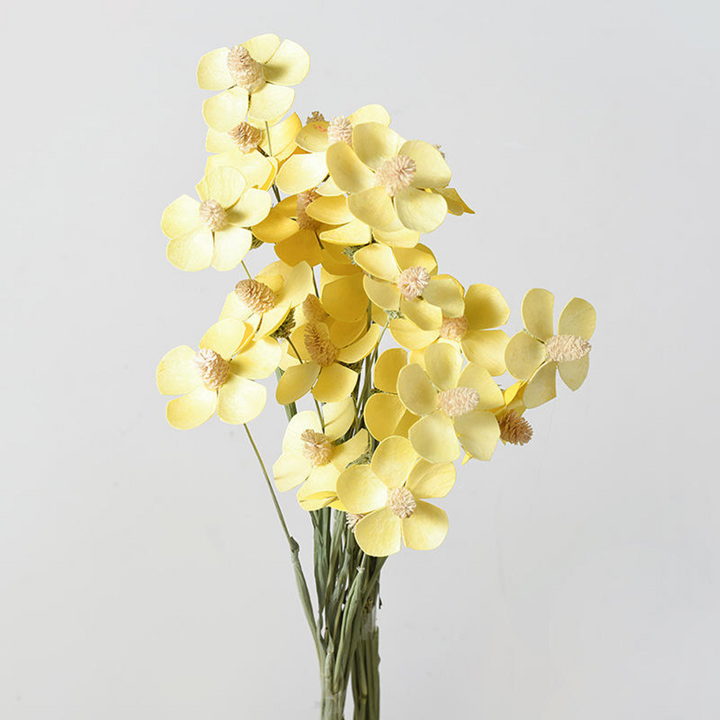 ARMN Dried Phalaenopsis Orchid Flowers