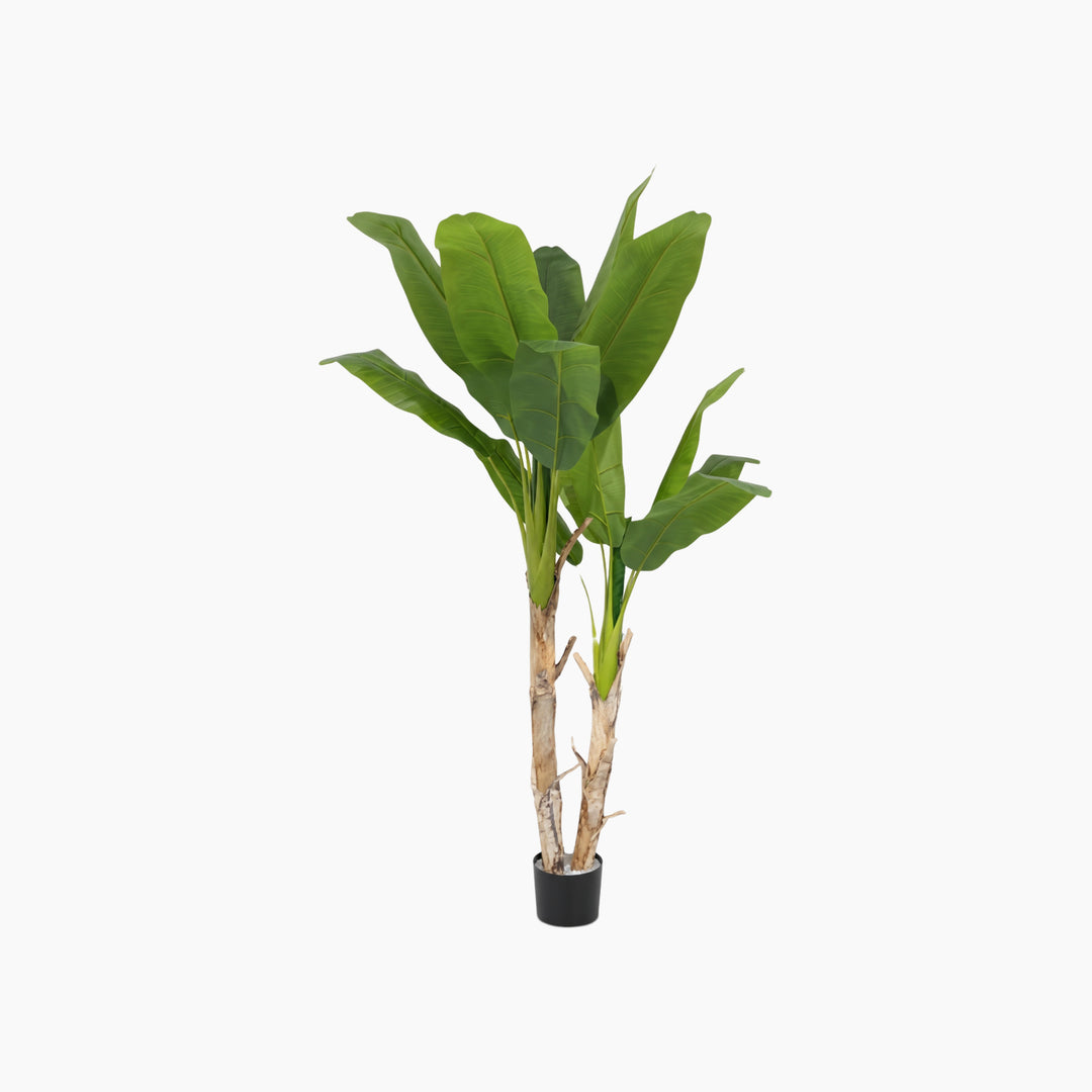 ARMN Evergreen Decorative Banana Tree