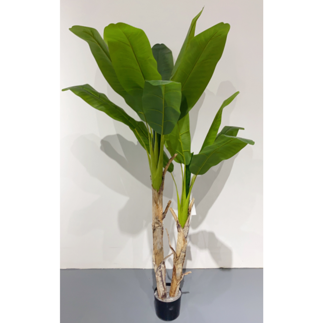 ARMN Evergreen Decorative Banana Tree