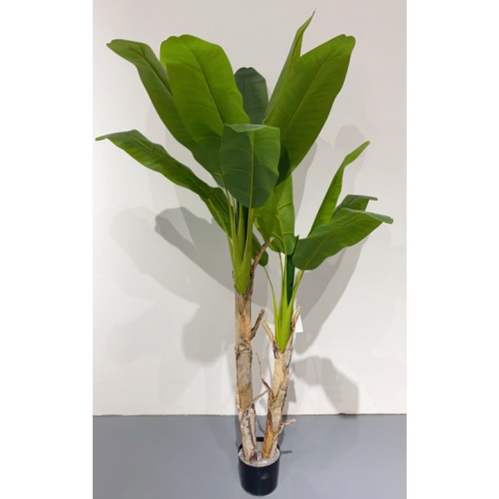ARMN Evergreen Decorative Banana Tree