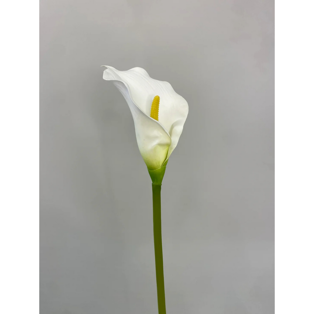 ARMN Evergreen Decorative Calla Lily
