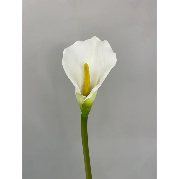ARMN Evergreen Decorative Calla Lily