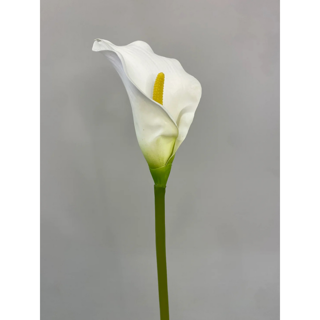 ARMN Evergreen Decorative Calla Lily