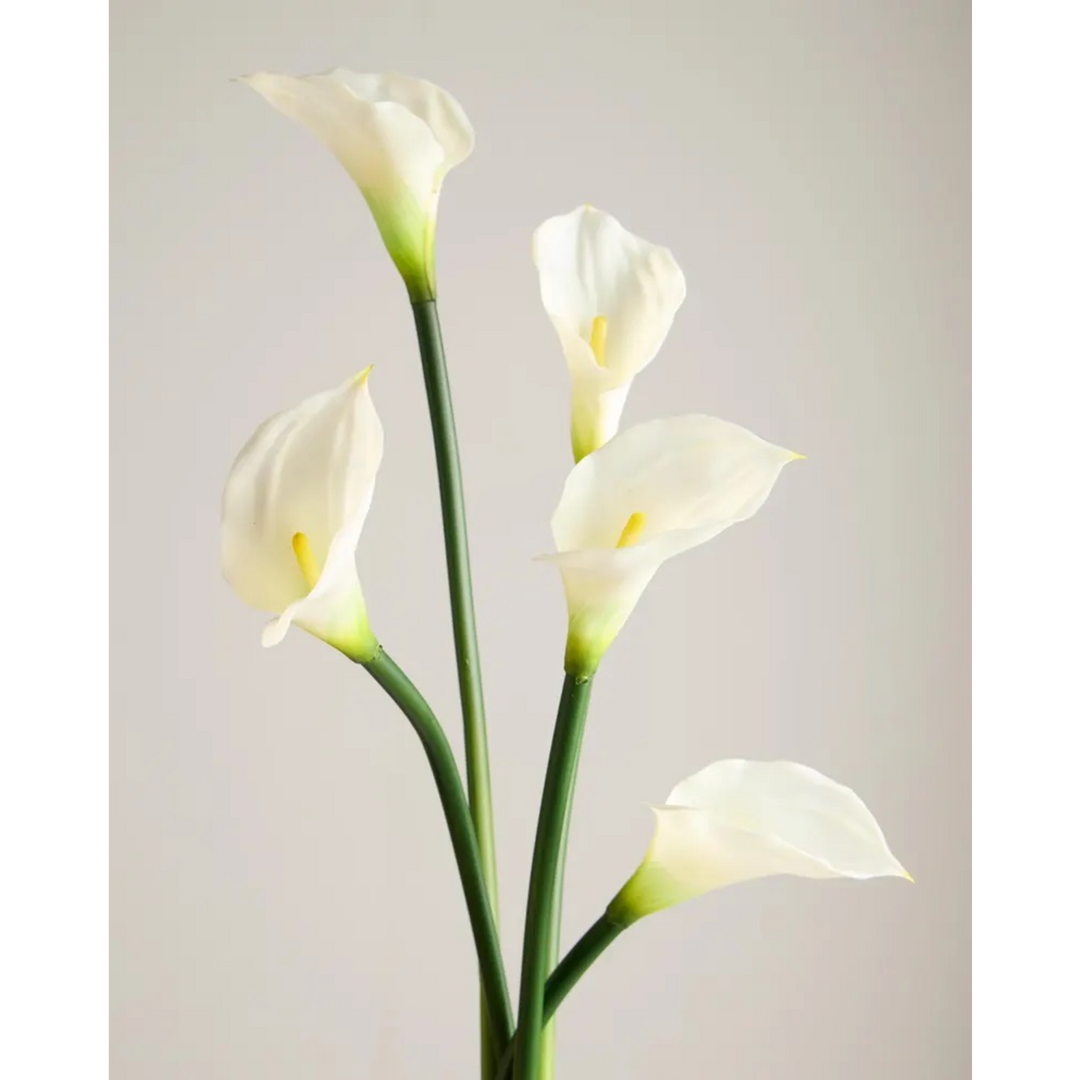 ARMN Evergreen Decorative Calla Lily