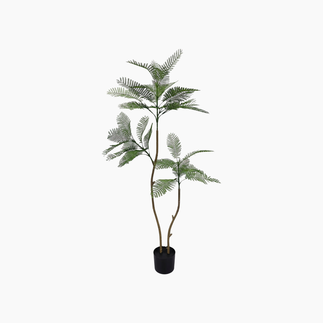 ARMN Evergreen Decorative Jacaranda Tree