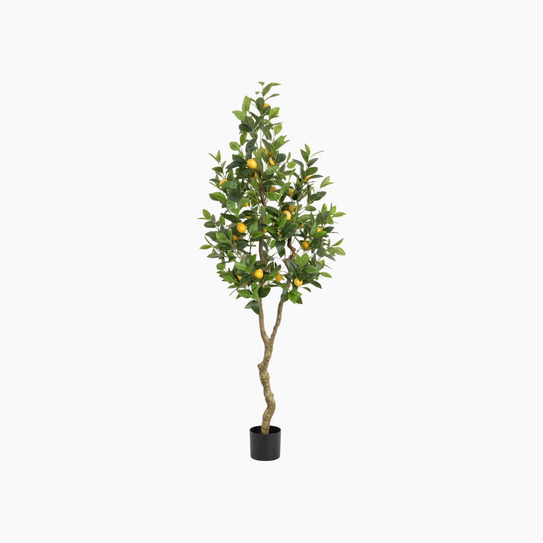ARMN Evergreen Decorative Lemon Tree