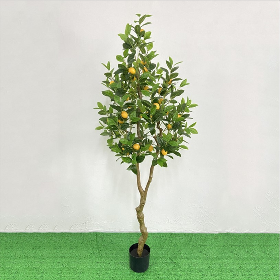 ARMN Evergreen Decorative Lemon Tree