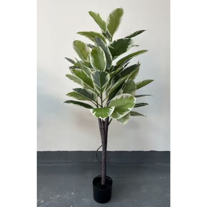 ARMN Evergreen Decorative Rubber Plant