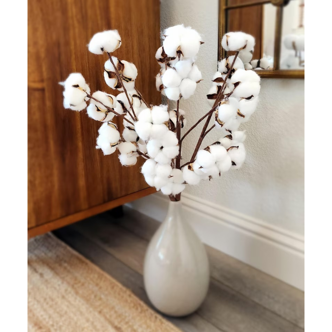 ARMN Natural Dried Cotton Flower