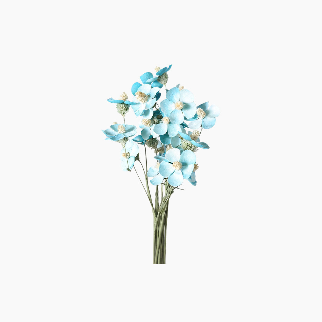 ARMN Dried Phalaenopsis Orchid Flowers