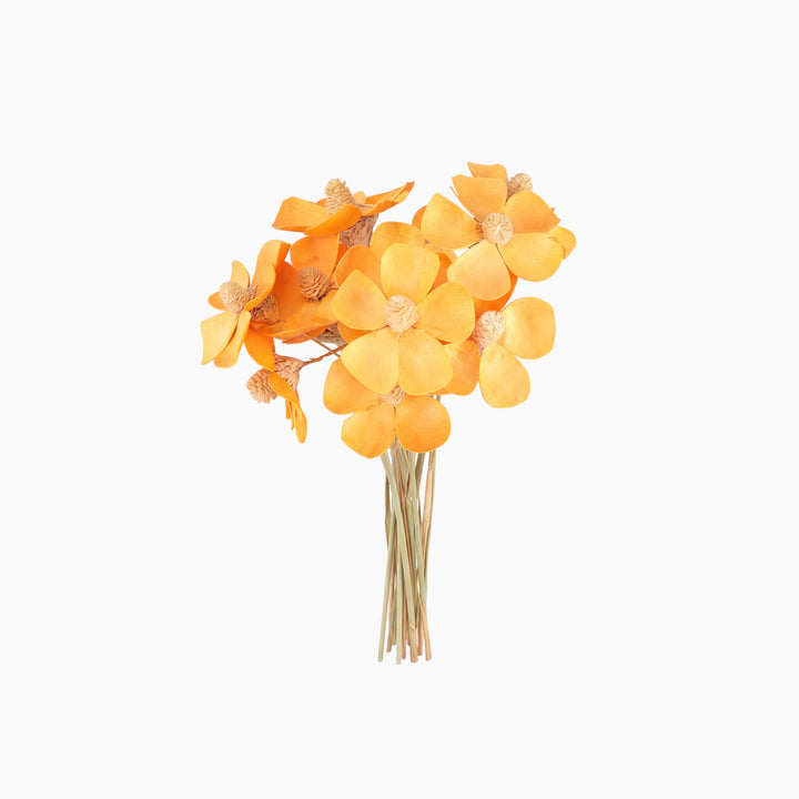 ARMN Dried Phalaenopsis Orchid Flowers