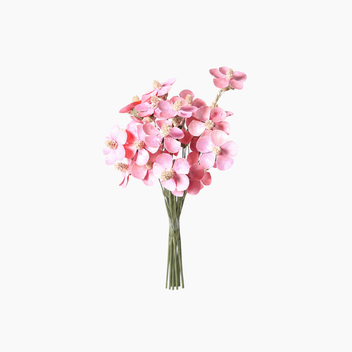 ARMN Dried Phalaenopsis Orchid Flowers