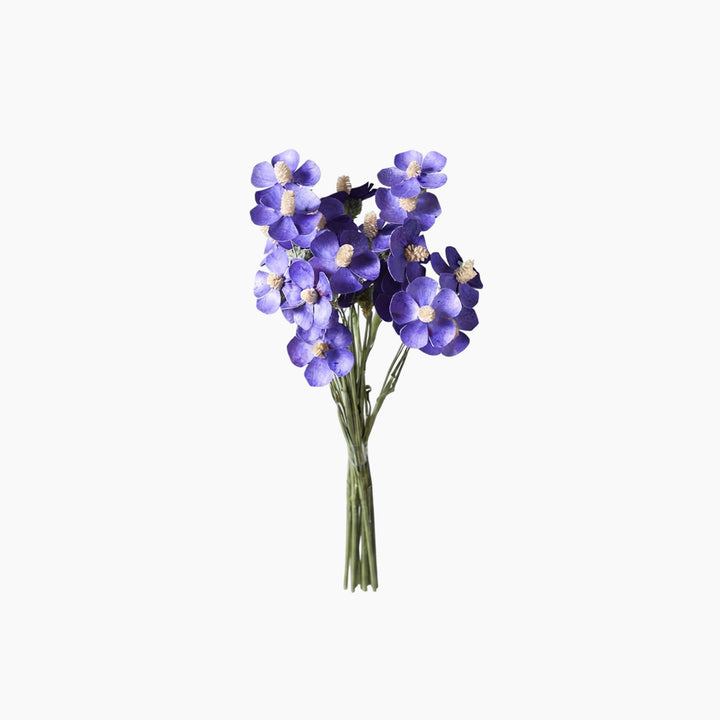 ARMN Dried Phalaenopsis Orchid Flowers