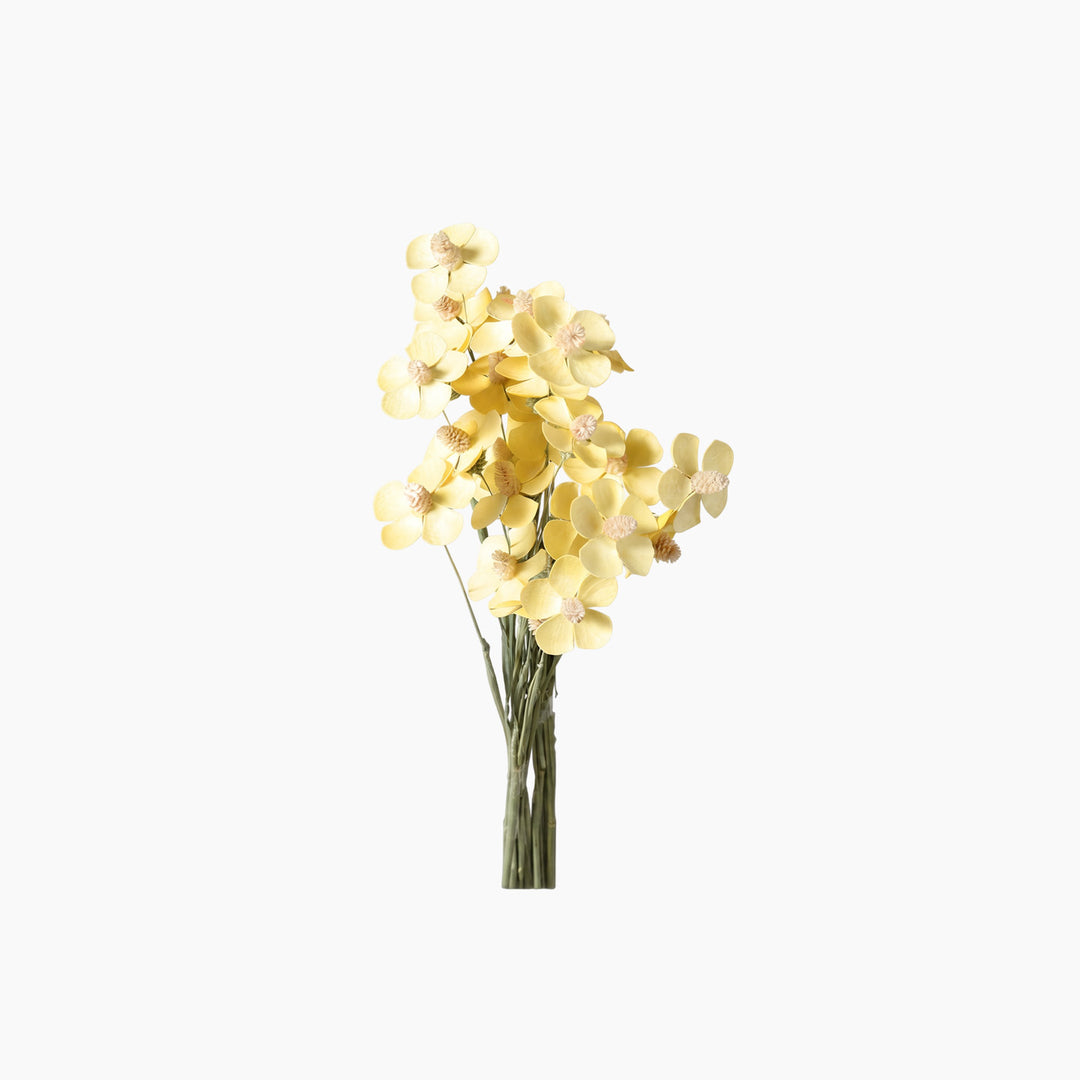 ARMN Dried Phalaenopsis Orchid Flowers
