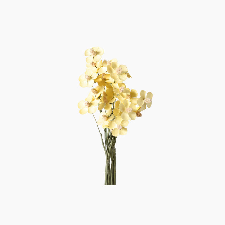 ARMN Dried Phalaenopsis Orchid Flowers