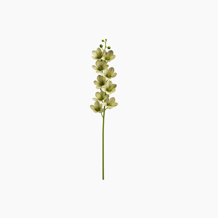 ARMN Evergreen Artificial Magnolia Flowers