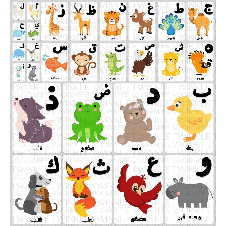 Twinkle &amp; Giraffe Arabic Alphabet Cards