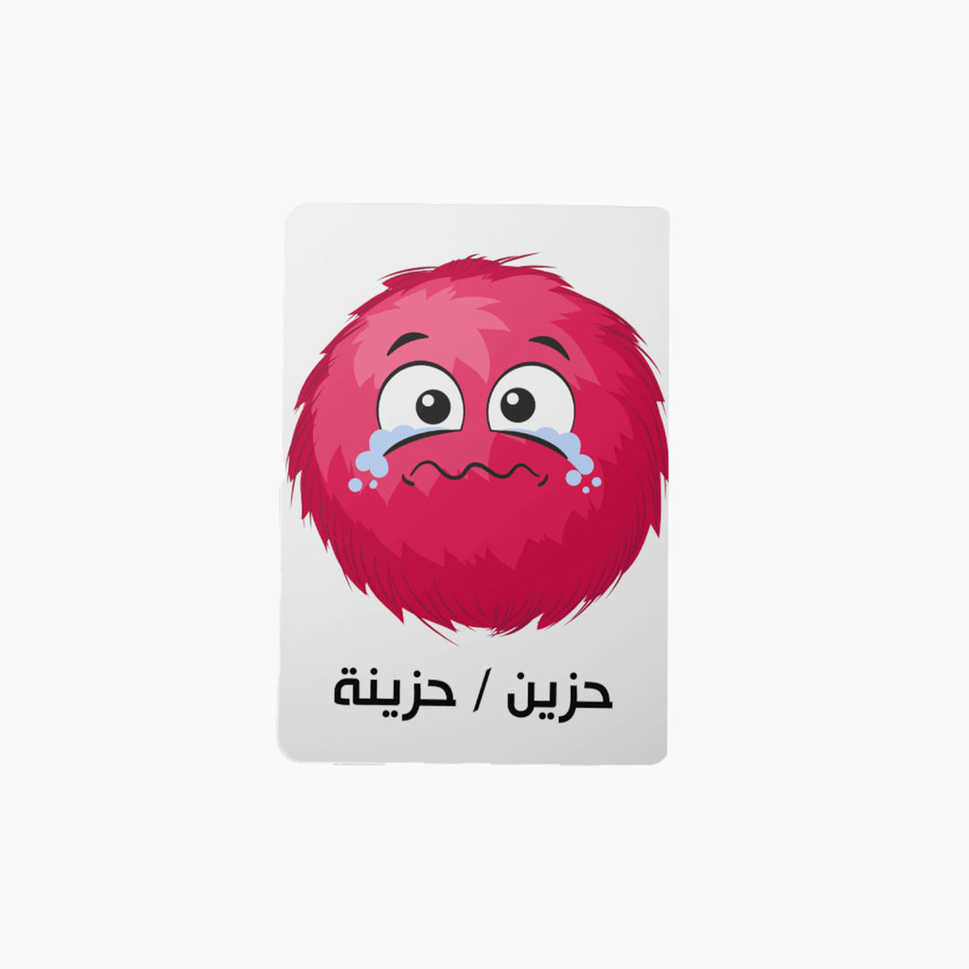 Twinkle &amp; Giraffe Arabic Emotions and Feelings Flashcards