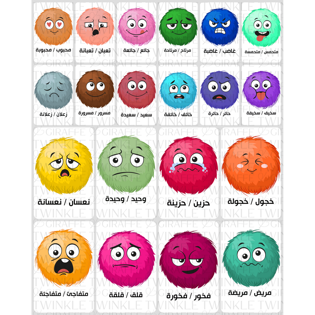 Twinkle &amp; Giraffe Arabic Emotions and Feelings Flashcards