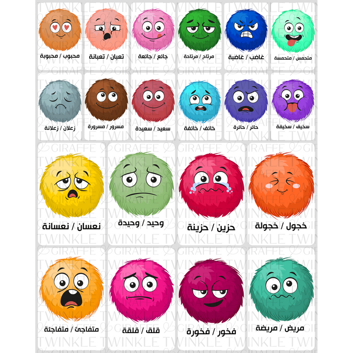 Twinkle &amp; Giraffe Arabic Emotions and Feelings Flashcards