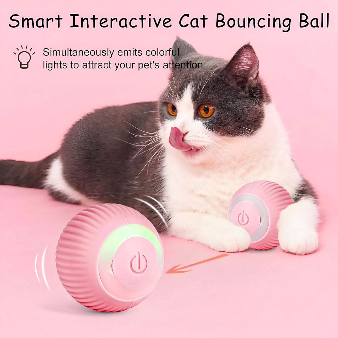 AutomaticRollingBall5-Photoroom_14a3b721-cc89-48c9-b415-d4e6a61a1af1 - HUNA