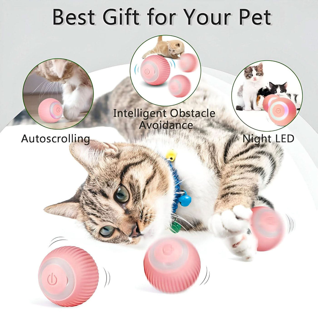 AutomaticRollingBall6-Photoroom_19495abd-8010-4bfb-8f22-1d030a36f248 - HUNA