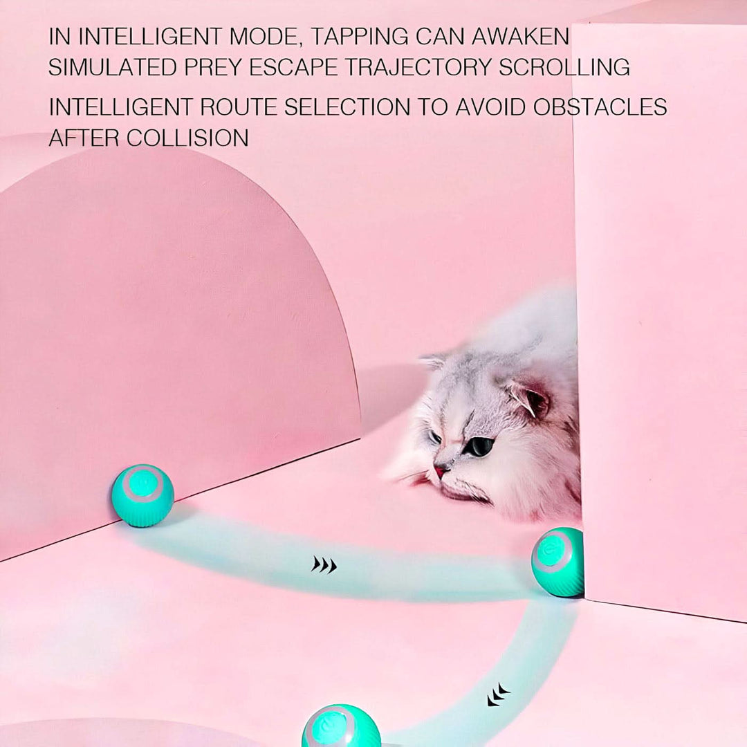 AutomaticRollingBall7-Photoroom_d12db4d4-b463-43ea-81e0-e6eafbc16ea1 - HUNA