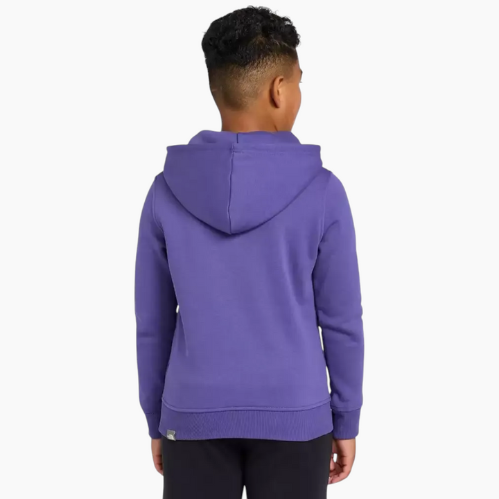 The North Face Drew Peak P/O Hoodie