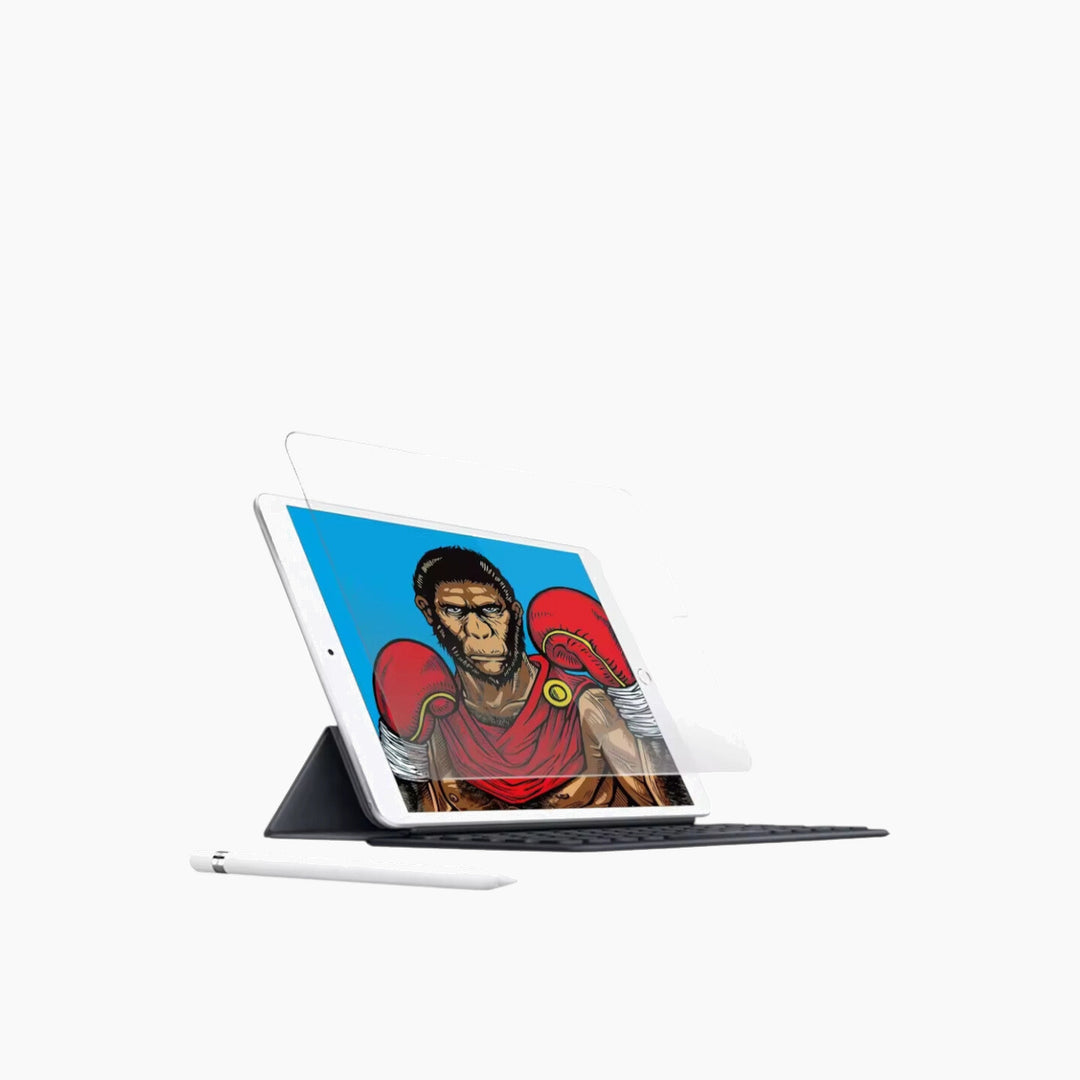 BLUEO iPad Paper Like Screen