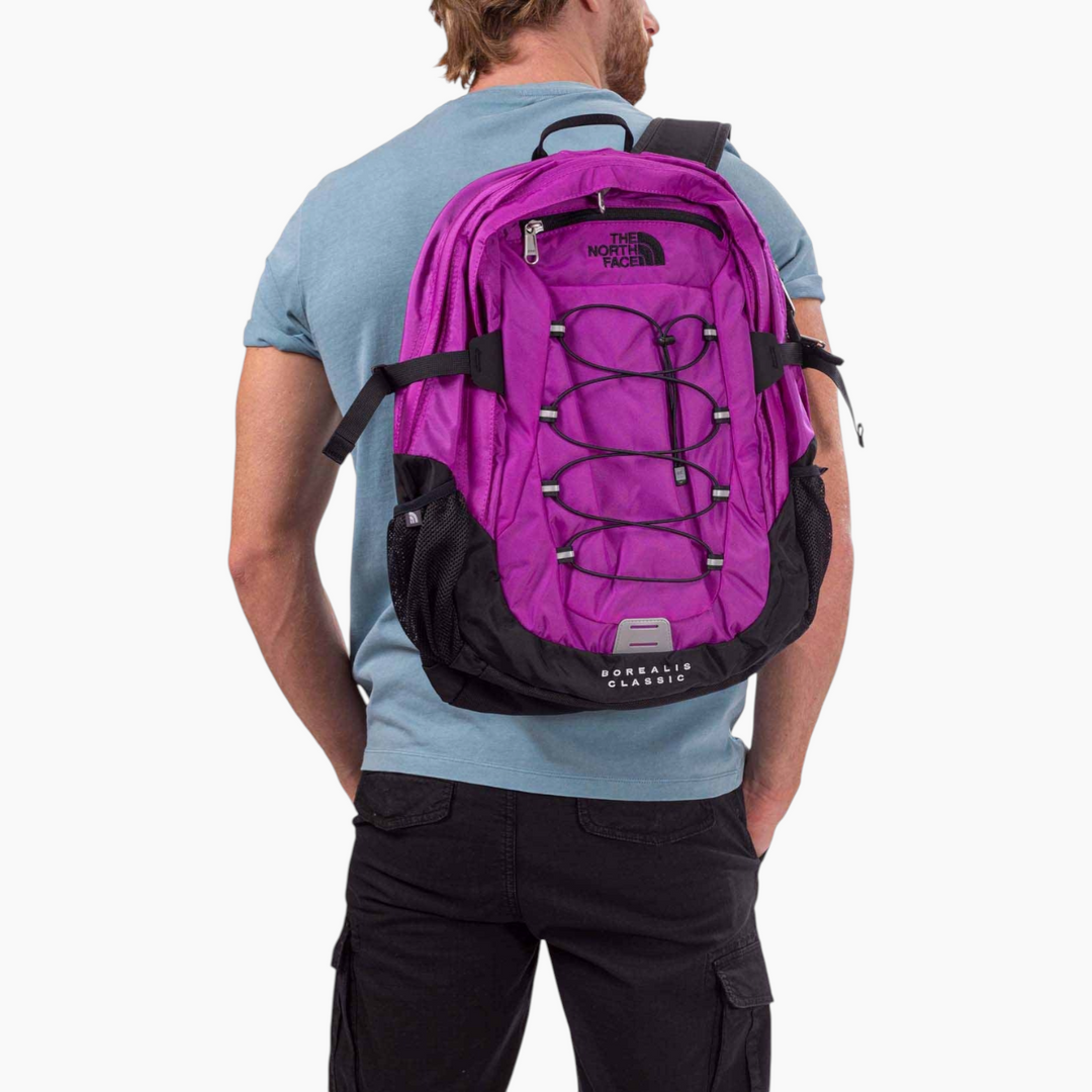 The North Face Borealis Classic Backpack