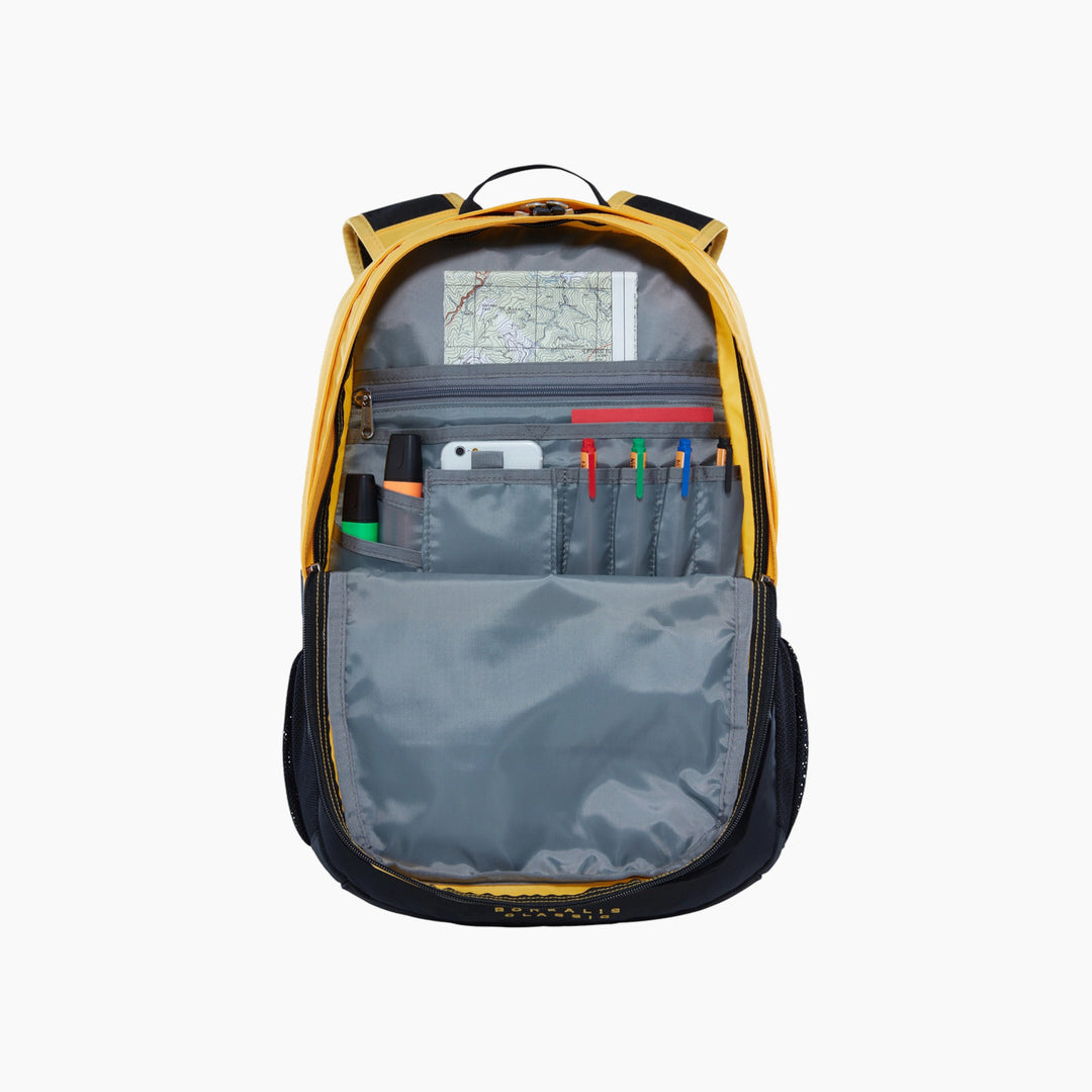 The North Face Borealis Classic Backpack