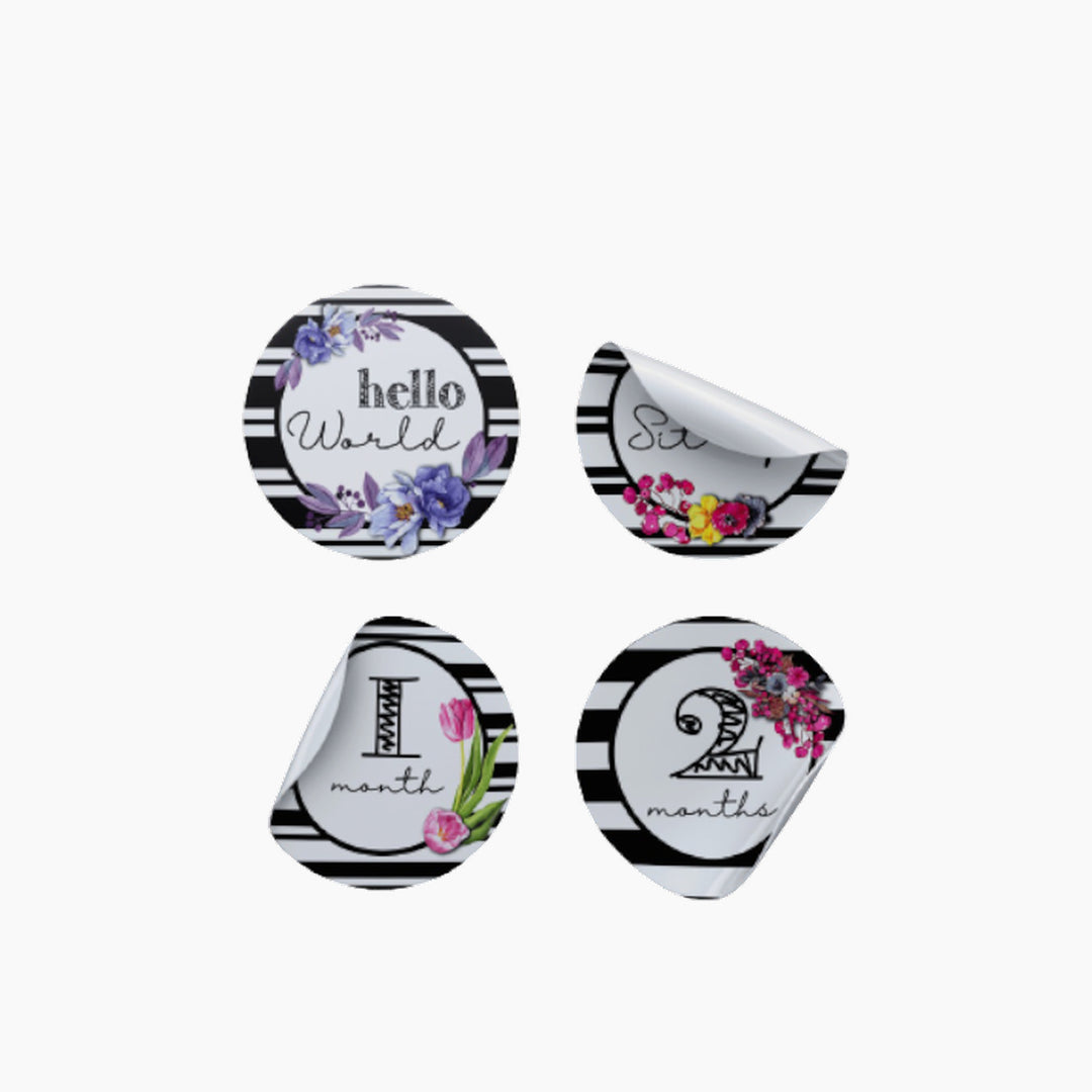 Twinkle &amp; Giraffe B&amp;W Stripes and Flowers Milestone Stickers
