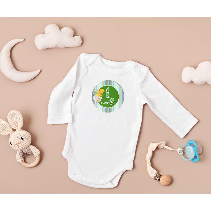 Twinkle &amp; Giraffe Baby Milestone Stickers