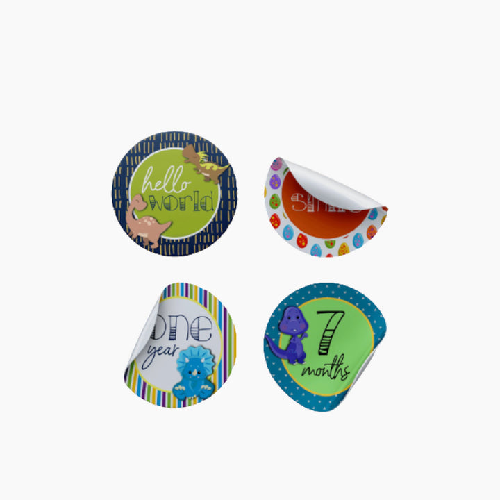 Twinkle &amp; Giraffe Baby Milestone Stickers