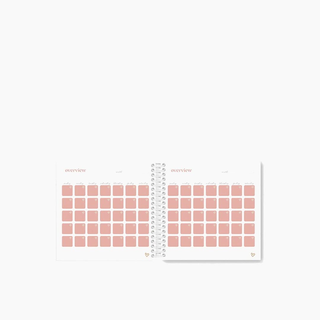 مجلة الحمل