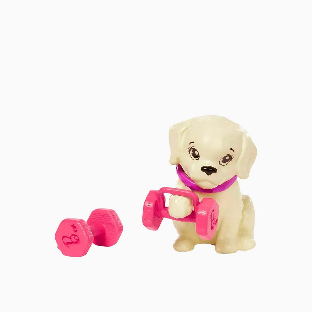 Mattel Barbie Wellness Workout Outfit Roller Skates And Tennis With Puppy